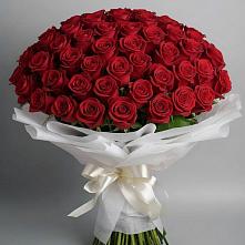 Букет 101 Красная роза Блэк Мэджик в Балтийском