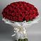 Букет 101 Красная роза Блэк Мэджик в Балтийском
