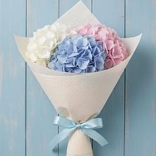 Букет цветов из:  Гортензия в Балтийском