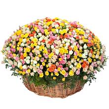 Премиум букет из: Розы #REPLACE_PRED# Балтийском