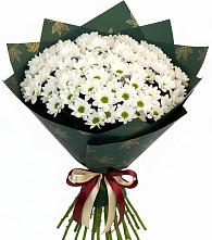 Букет цветов из:  Хризантемы #REPLACE_PRED# Балтийском