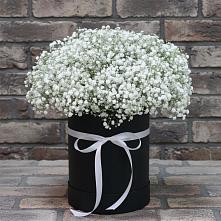 Цветочная композиция из Гипсофила в шляпной коробке в Балтийском