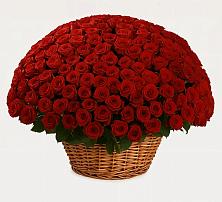 Премиум букет из: Розы в Балтийском