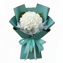 Букет цветов из:  Гортензия в Балтийском